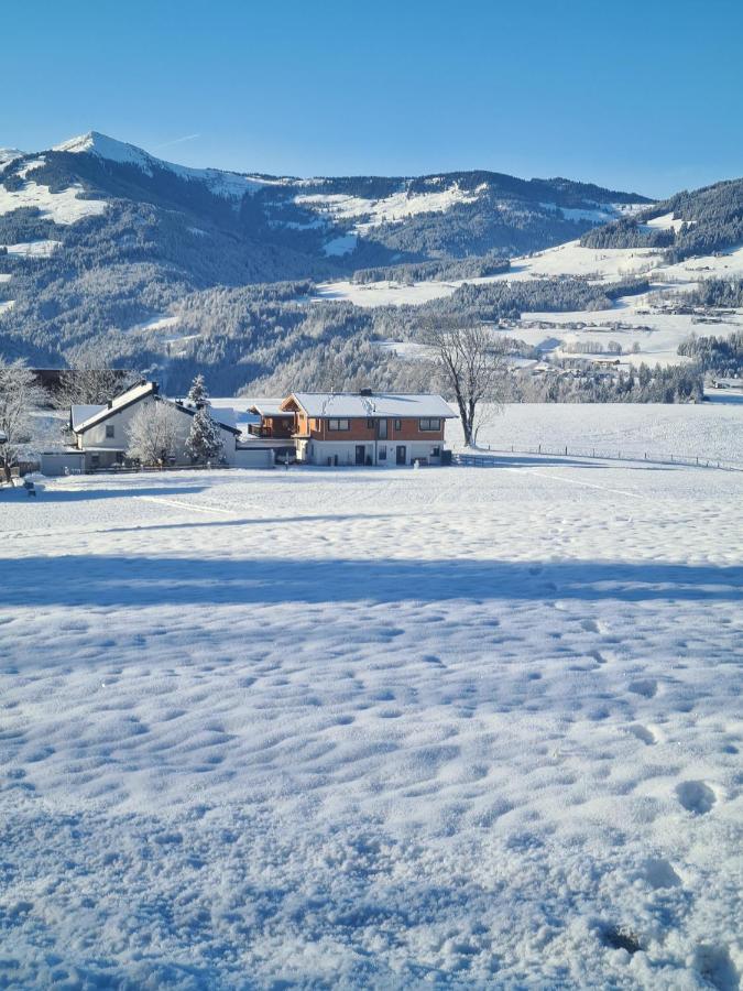 Berg Apartment Barbara Hopfgarten im Brixental Eksteriør bilde